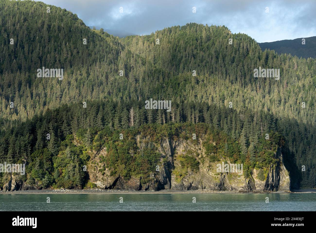 USA, Alaska, Kenai Fjords National Park. Mountain forest and Resurrection Bay. Stock Photo