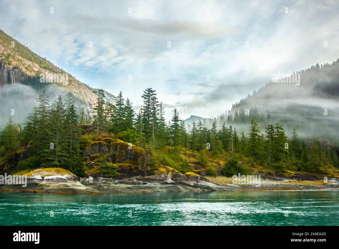 usa-alaska-tongass-national-forest-endicott-arm-water-and-fog-on