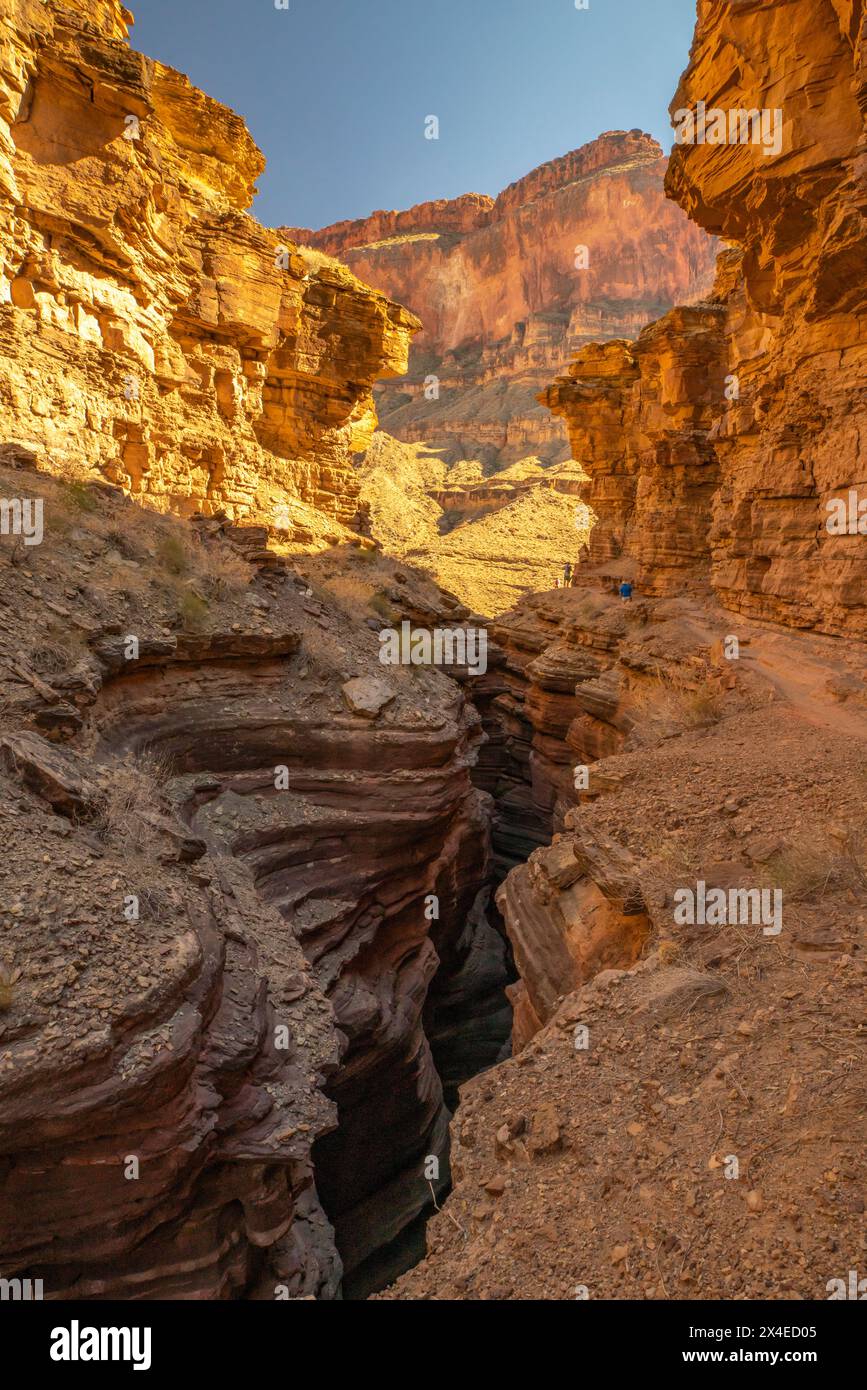 USA, Arizona, Grand Canyon National Park. People on Deer Creek Trail. Stock Photo