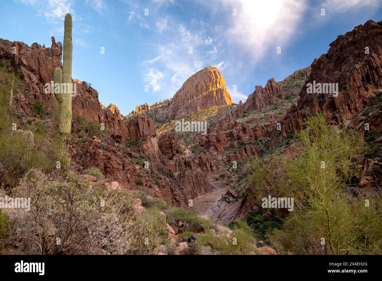 USA, Arizona. Superstition Mountains near Phoenix. Stock Photo