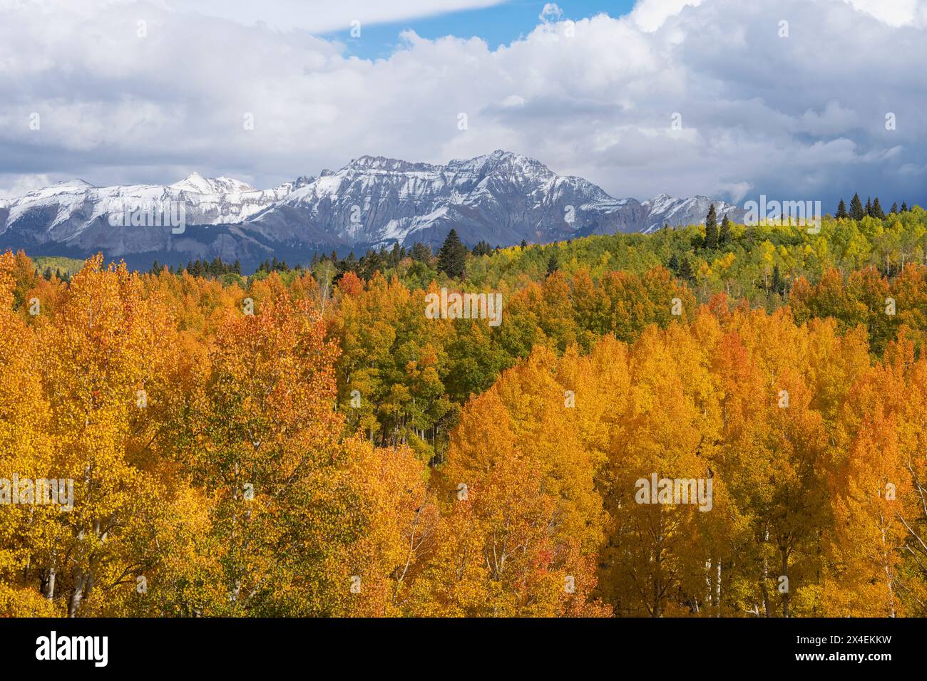 San juan national forest hi-res stock photography and images - Alamy