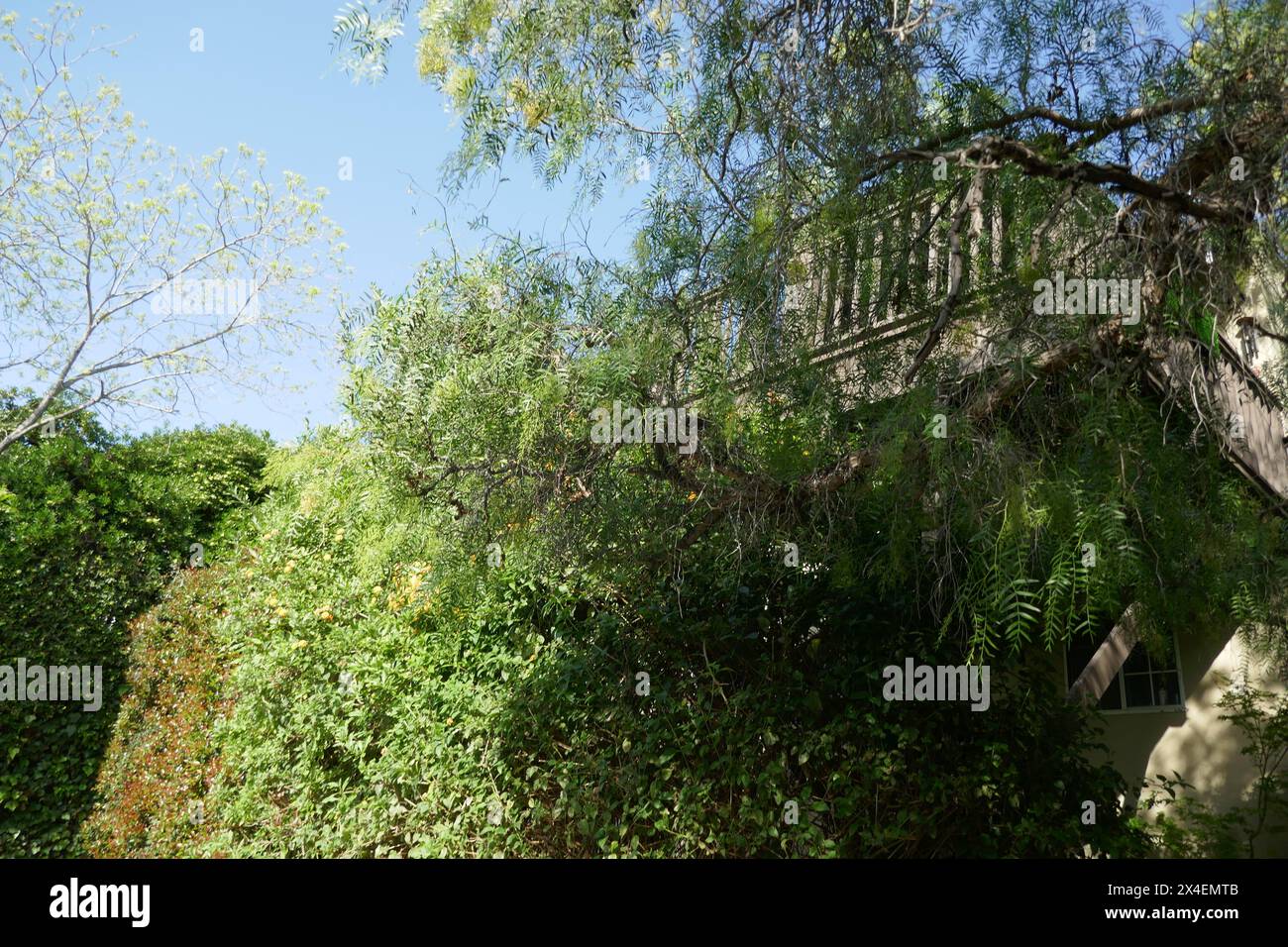 Los Angeles, California, USA 1st May 2024 Singer Elliott Smith Former