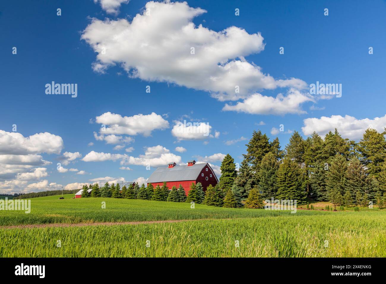 USA, Idaho, Potlatch. Red barn, blue sky, white clouds. (Editorial Use Only) Stock Photo