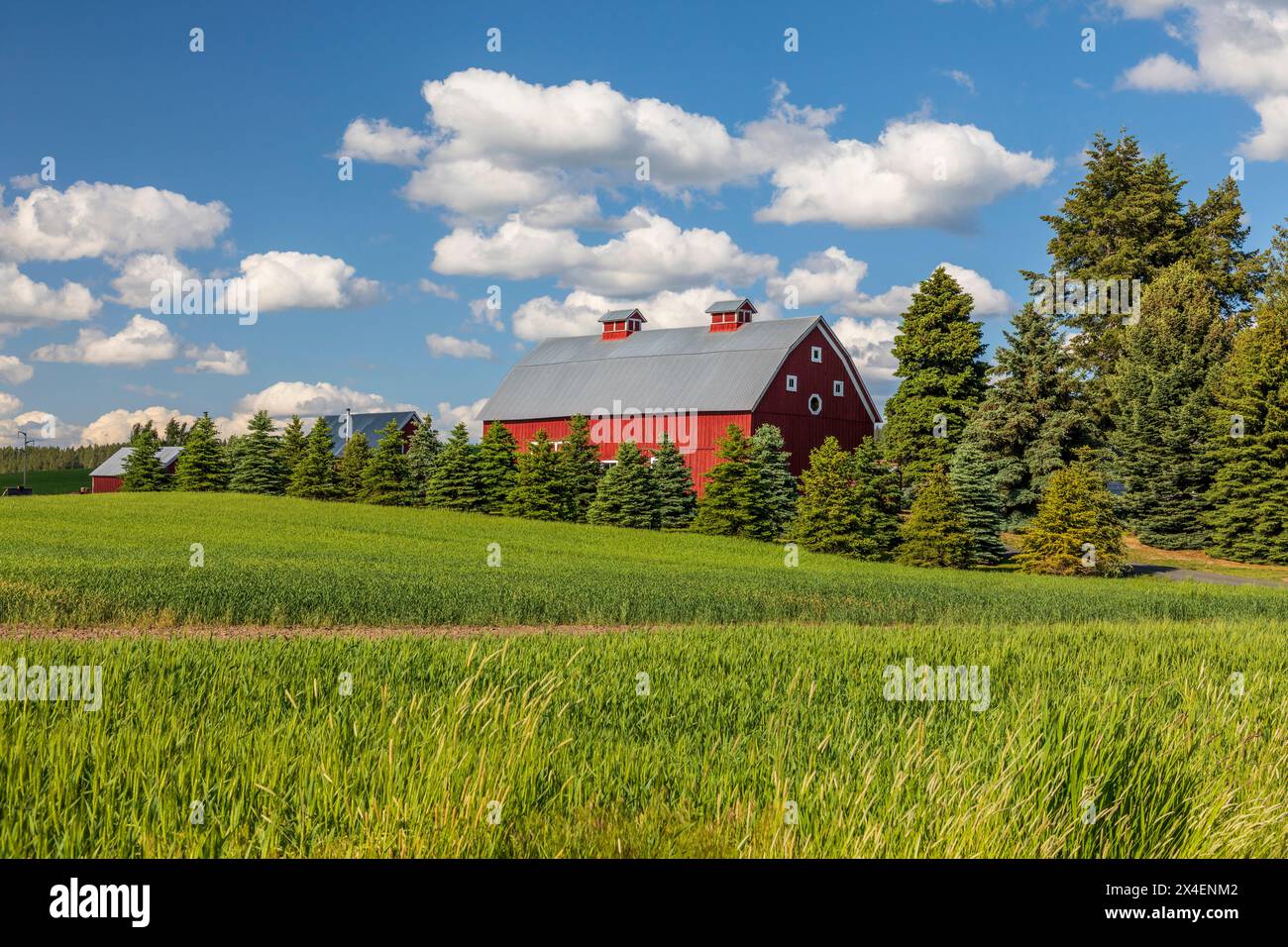 USA, Idaho, Potlatch. Red barn, blue sky, white clouds. (Editorial Use Only) Stock Photo