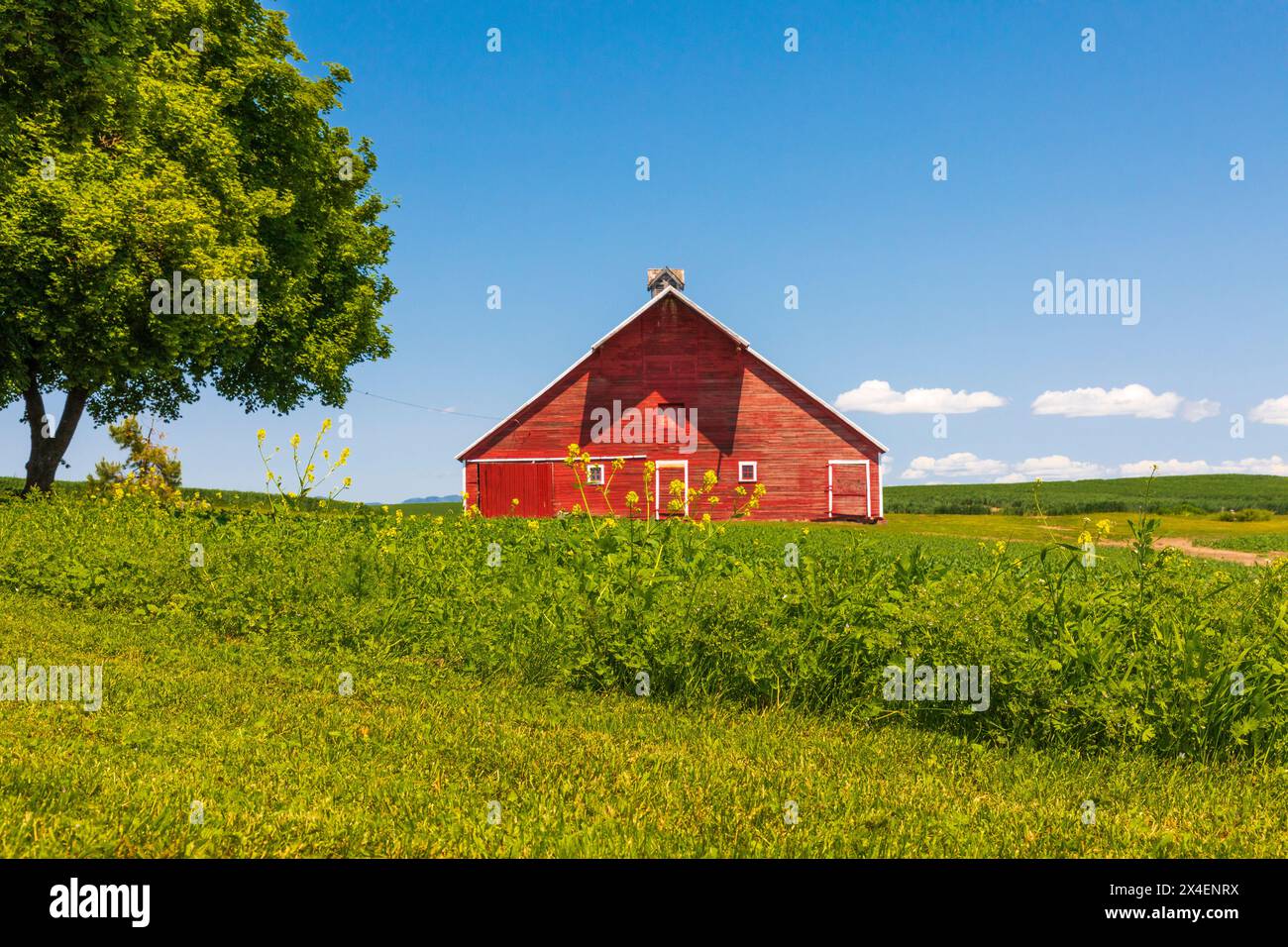 USA, Idaho, Genesee. Red barn, blue sky, white clouds. (Editorial Use Only) Stock Photo