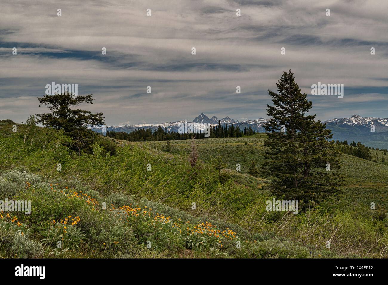 USA, Idaho. Teton Mountains as seen from Idaho's Big Hole Mountains Stock Photo