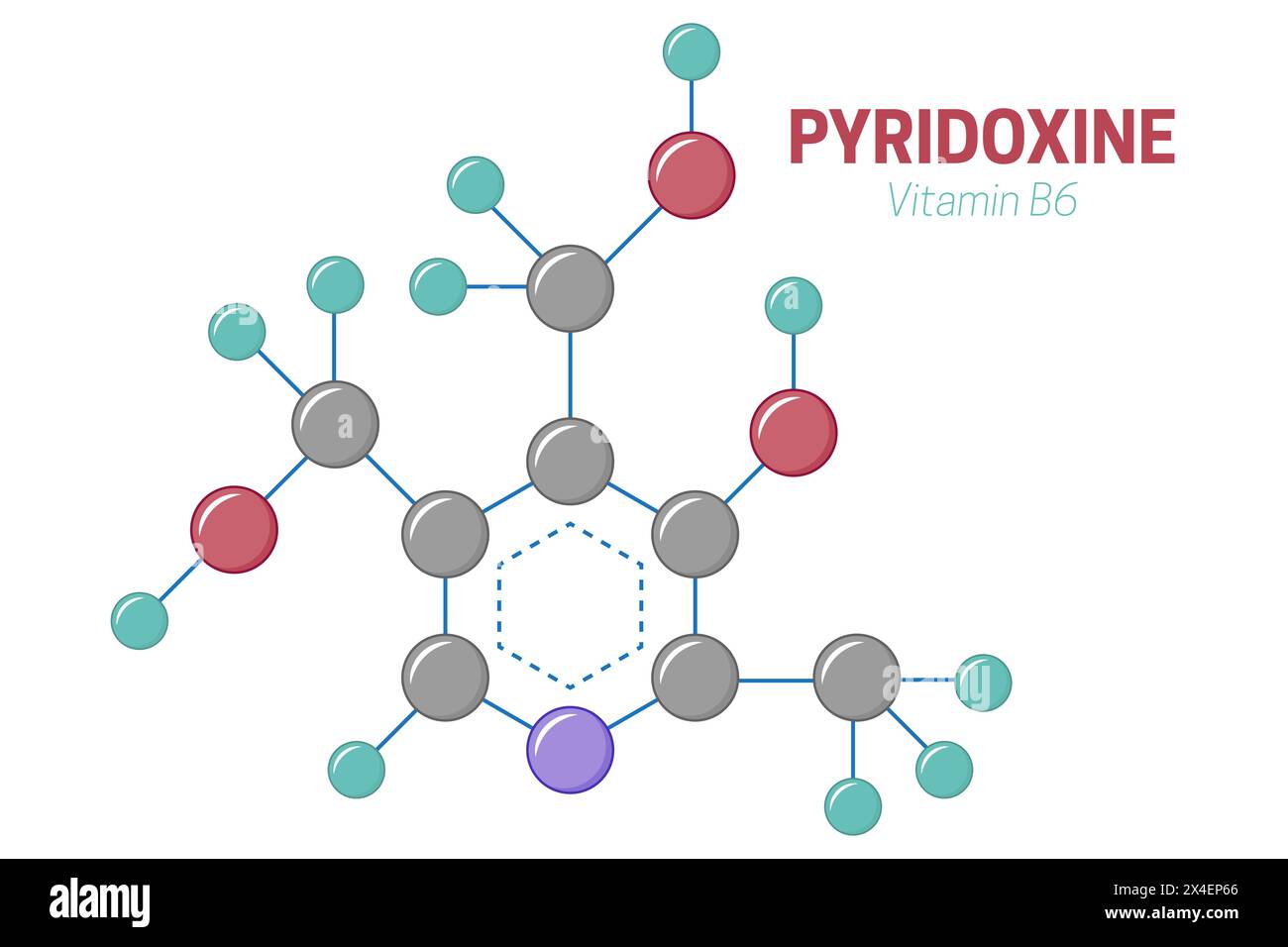 Pyridoxine Vitamin B6 Molecule Structure Formula Illustration Stock Vector