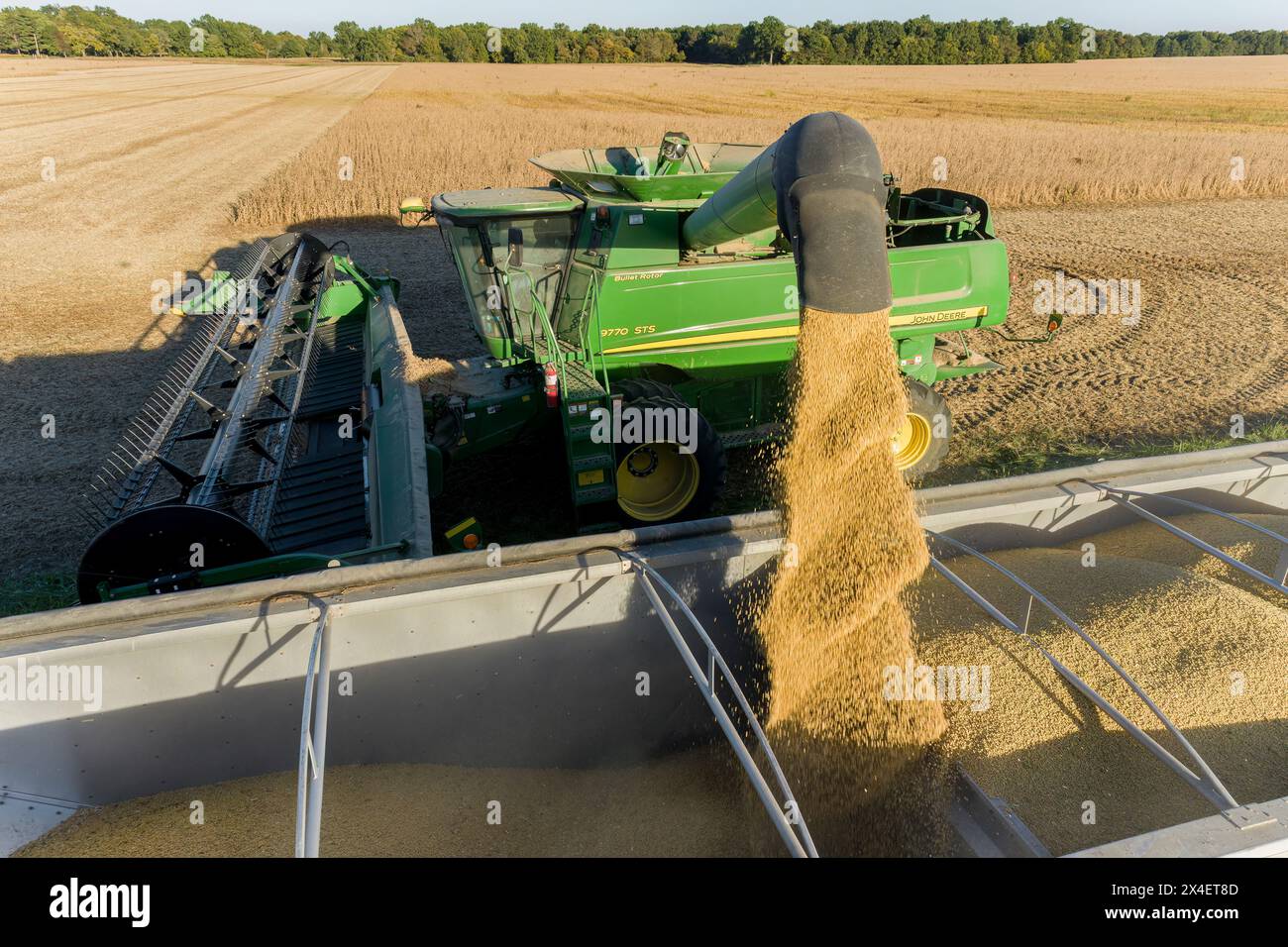 Aerial of farmer unloading soybeans into semitruck, Marion County, Illinois. (Editorial Use Only) Stock Photo