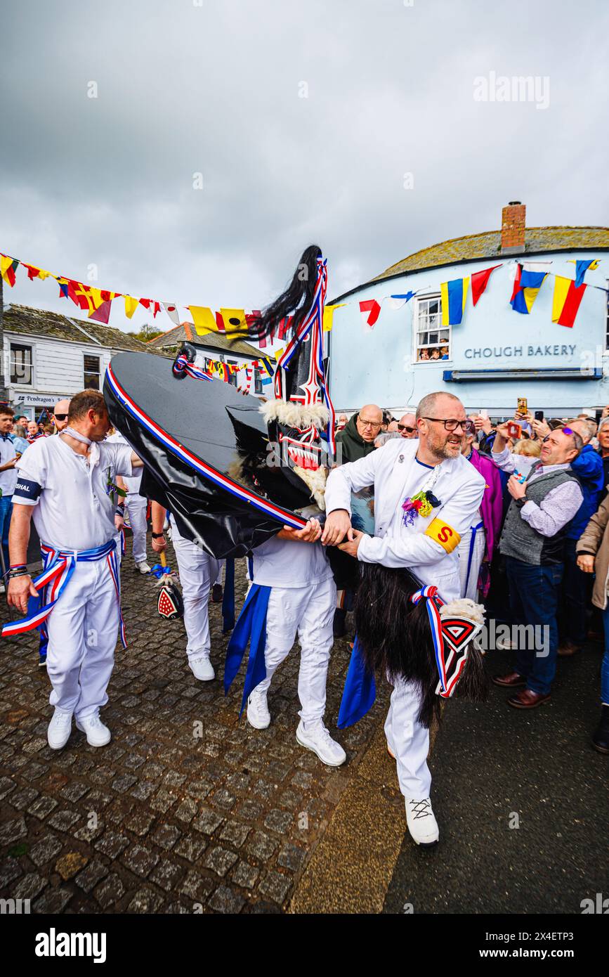 The Blue 'Oss at the 'Obby 'Oss festival, a traditional annual May Day folk festival in Padstow, a coastal town in North Cornwall, England Stock Photo