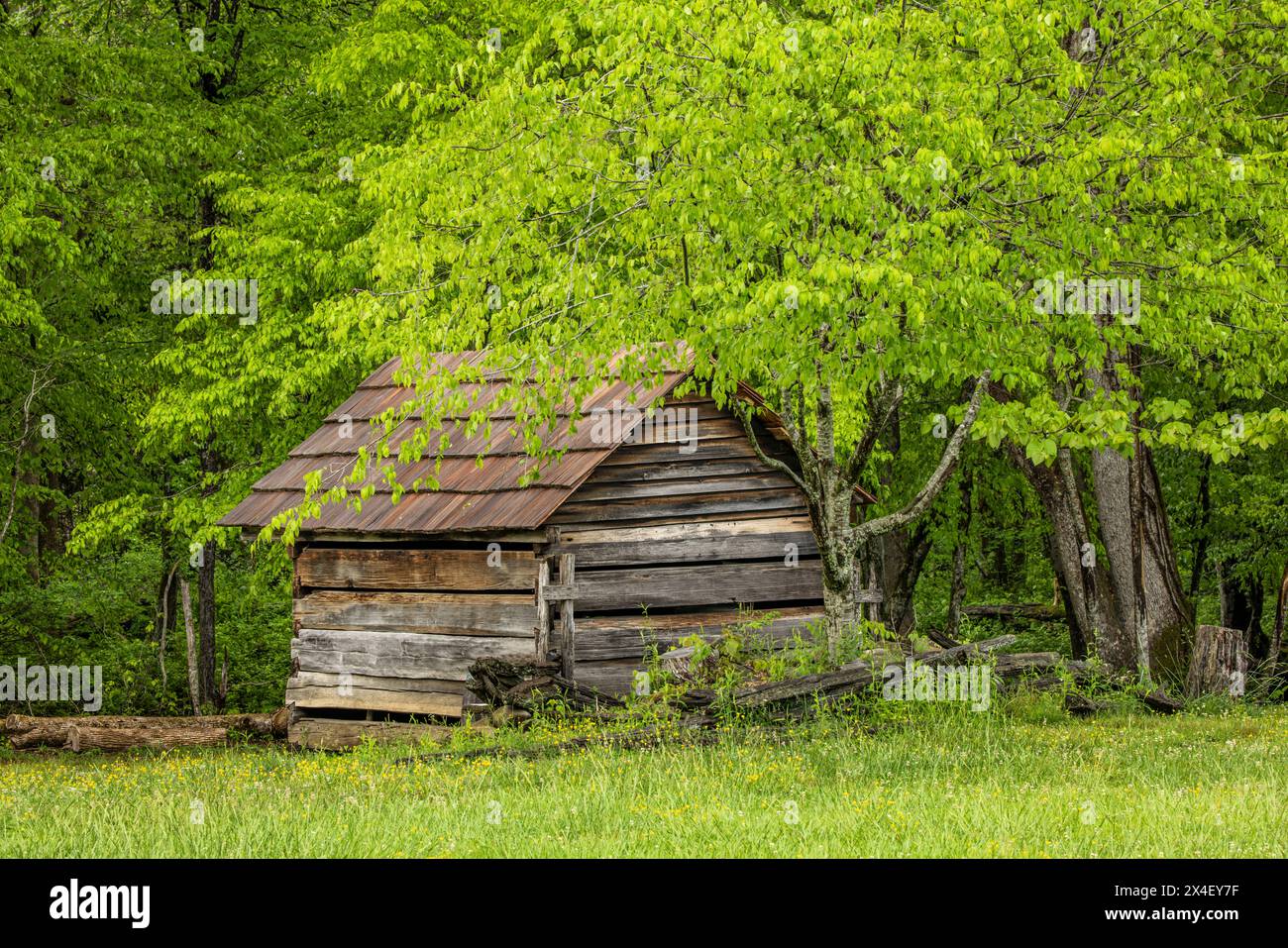 Historic log building, Oconaluftee Mountain Farm Museum, Great Smoky Mountains National Park, North Carolina Stock Photo