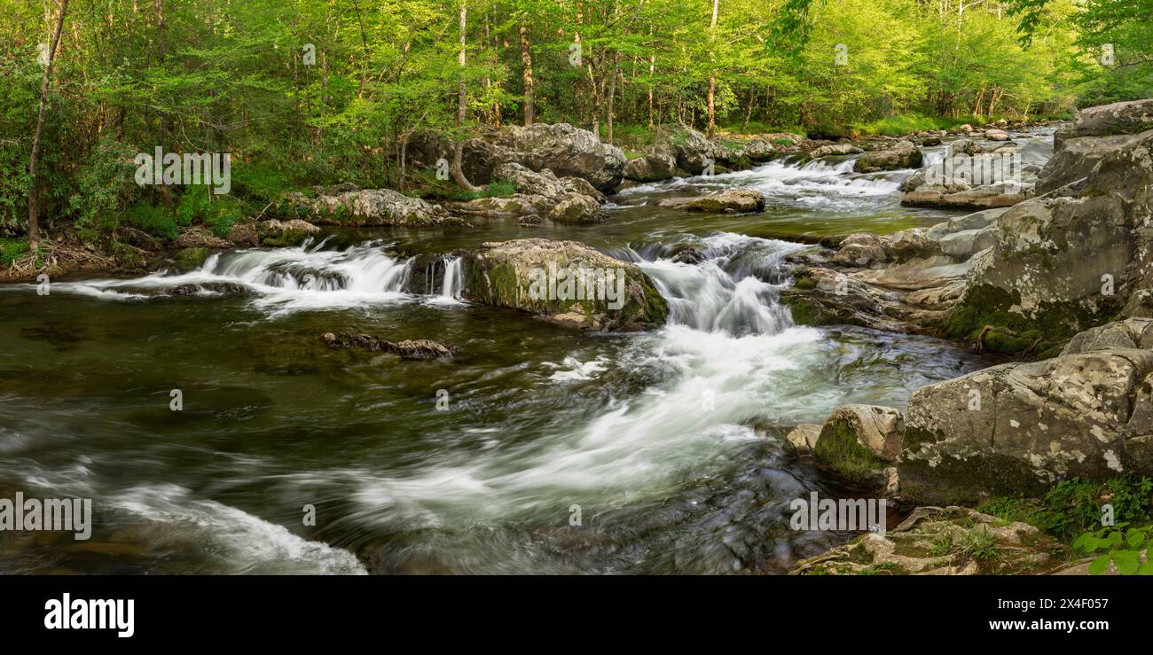Spring panoramic view of Little Pigeon River, Greenbrier area, Great Smoky Mountains National Park, Tennessee Stock Photo