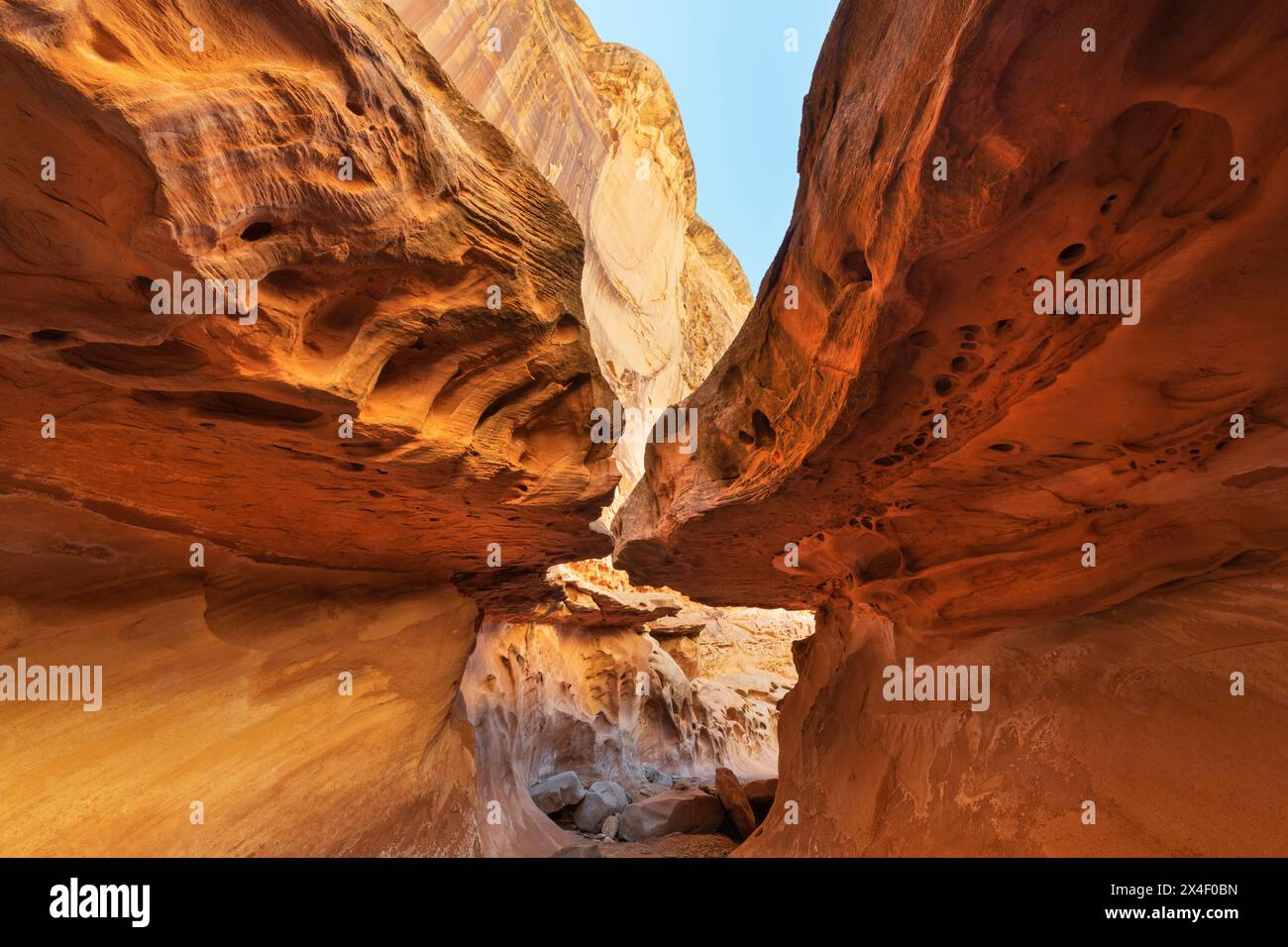 Eroded sandstone walls and overhangs resembling Swiss Cheese in The Subway slot portion of Crack Canyon, San Rafael Reef, Utah. Stock Photo