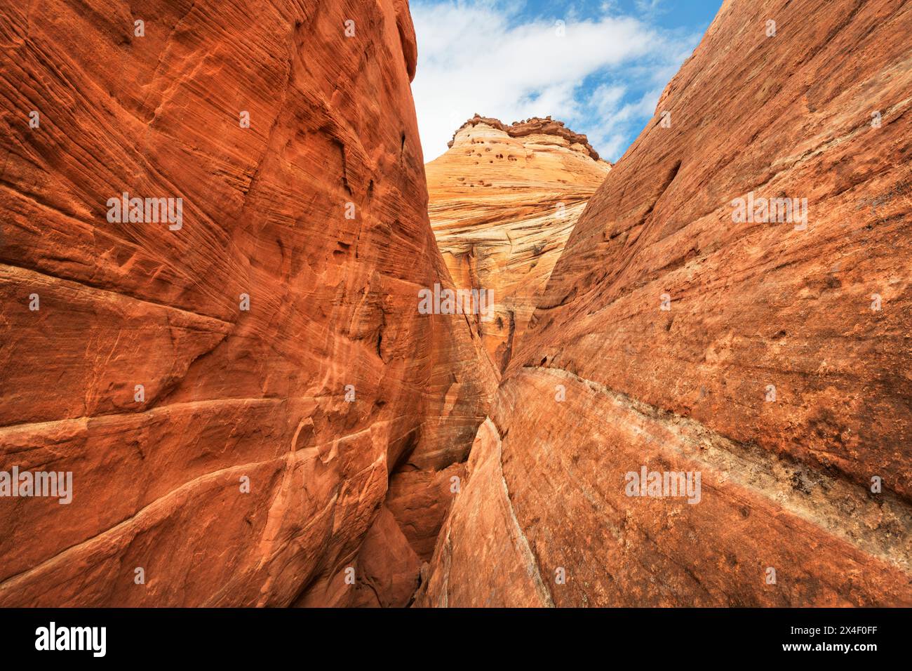 Small slot canyon in Halfway Hollow, Grand Staircase-Escalante National Monument, Utah. Stock Photo