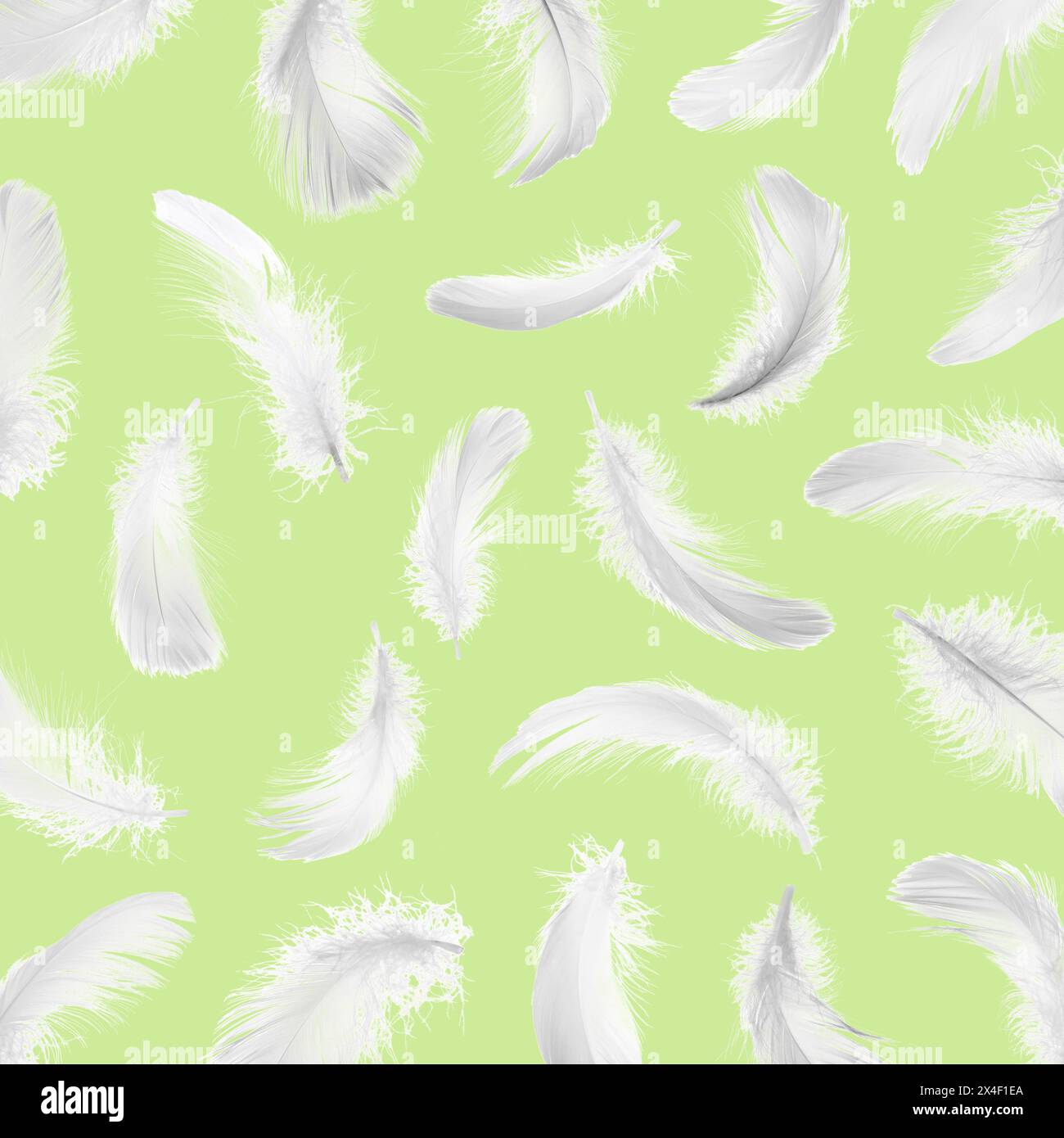 Fluffy bird feathers falling on light green background Stock Photo - Alamy