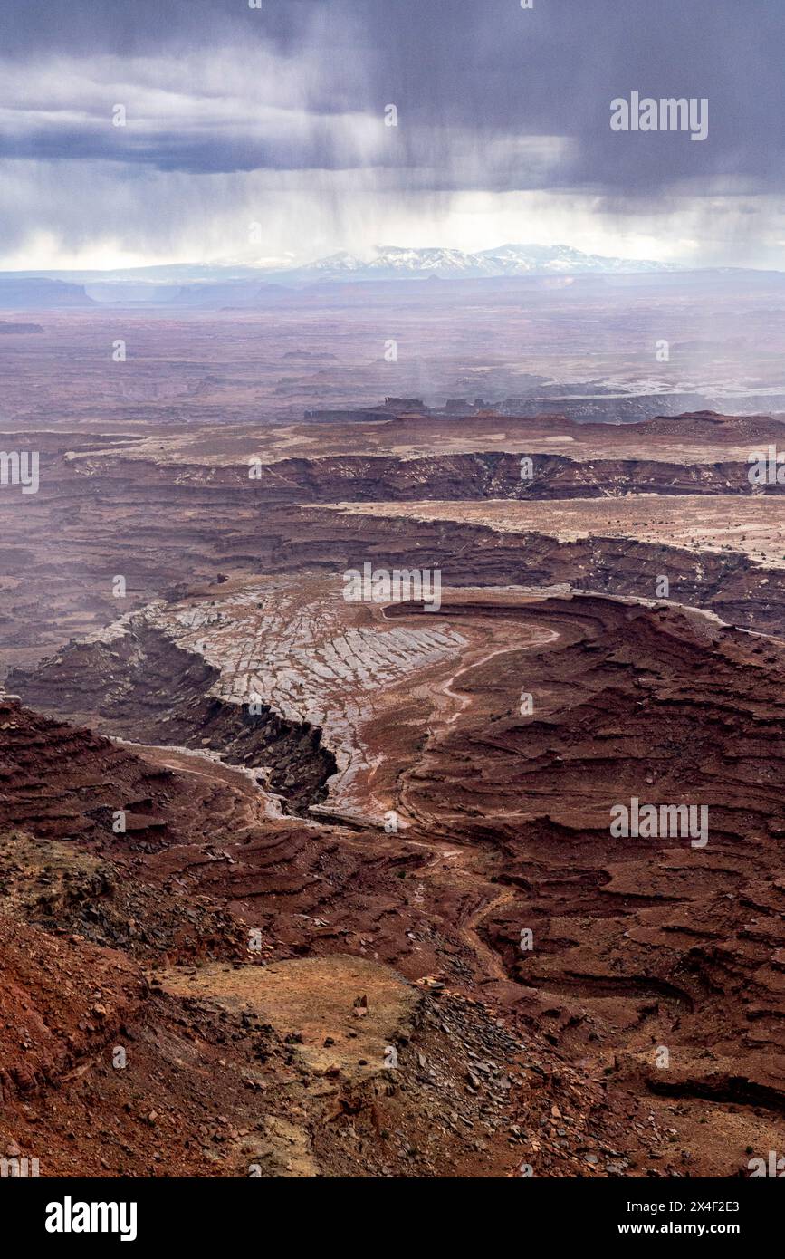 USA, Utah. Storm clouds over the desert, Island in the Sky, Canyonlands National Park. Stock Photo