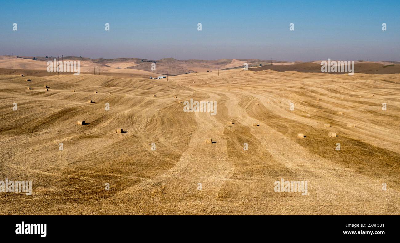 Large cut field of wheat and bales at harvest time Stock Photo - Alamy