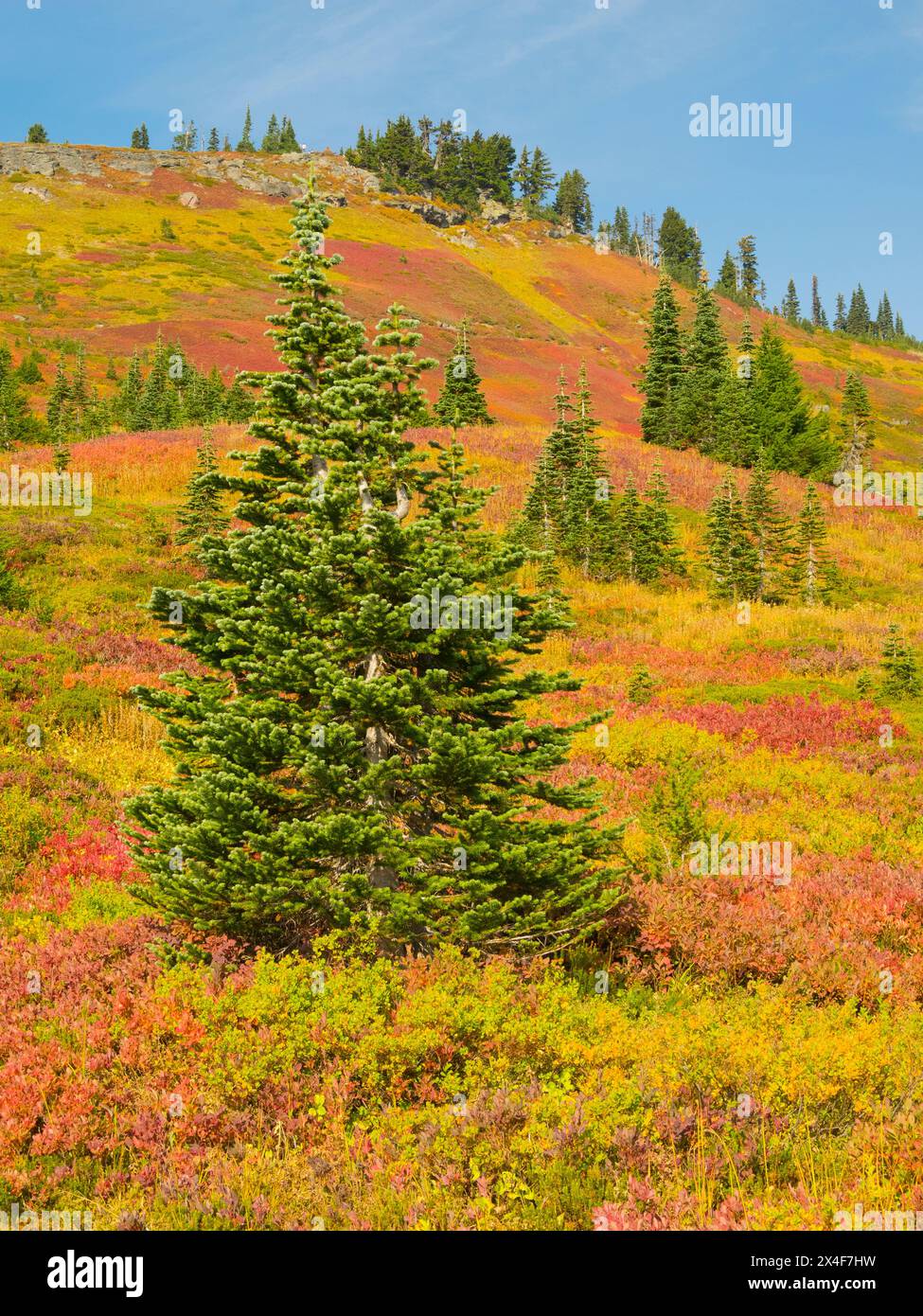 Mount washington state park hi-res stock photography and images - Alamy