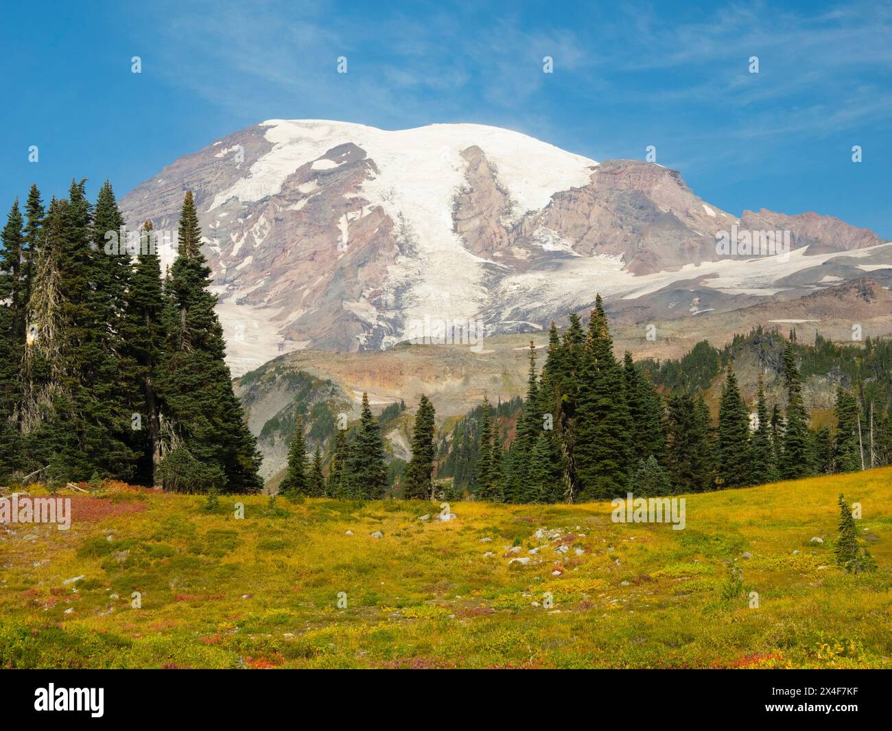 USA, Washington State, Mount Rainier National Park. Snow-capped Mount Rainier with meadow in fall color Stock Photo