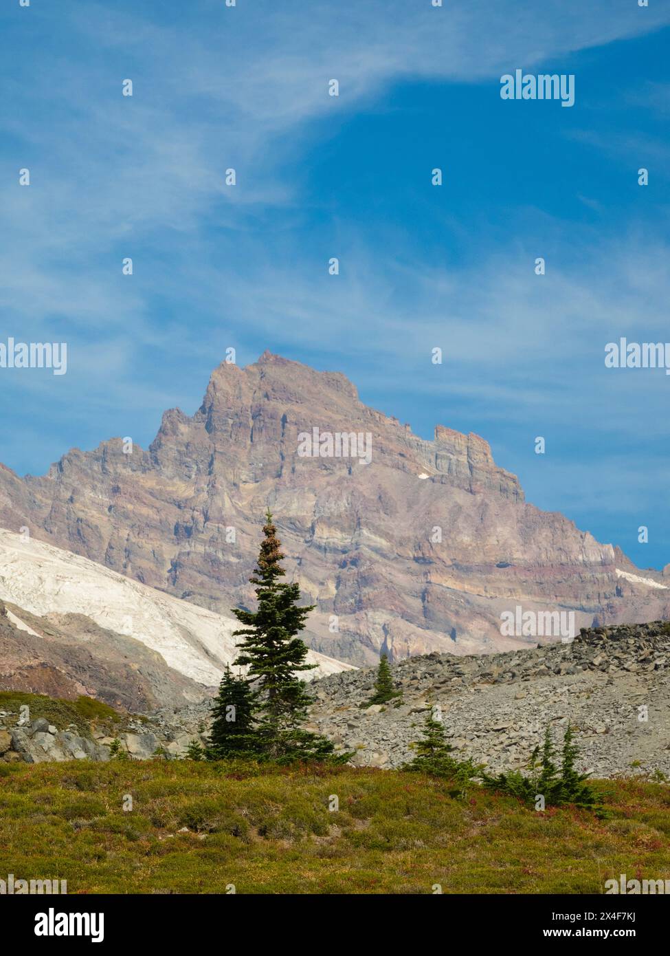 USA, Washington State, Mount Rainier National Park. Little Tahoma and sub-alpine fir trees Stock Photo