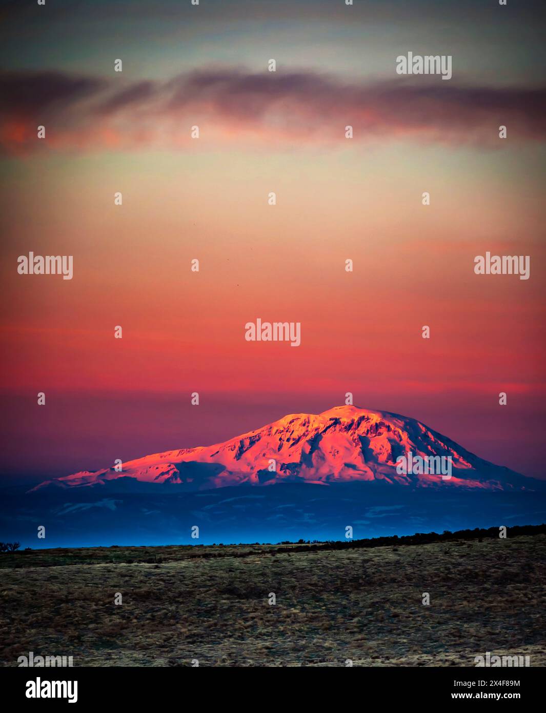 USA, Washington State, Zillah. Dawn light on Mt. Adams seen from Yakima Valley wine country in winter. Stock Photo