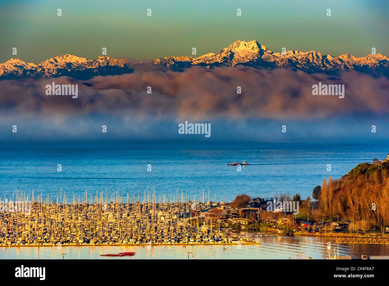 USA, Washington State, Seattle. Dawn on the Olympic Mountains that overlook a marina on the Puget Sound. Stock Photo