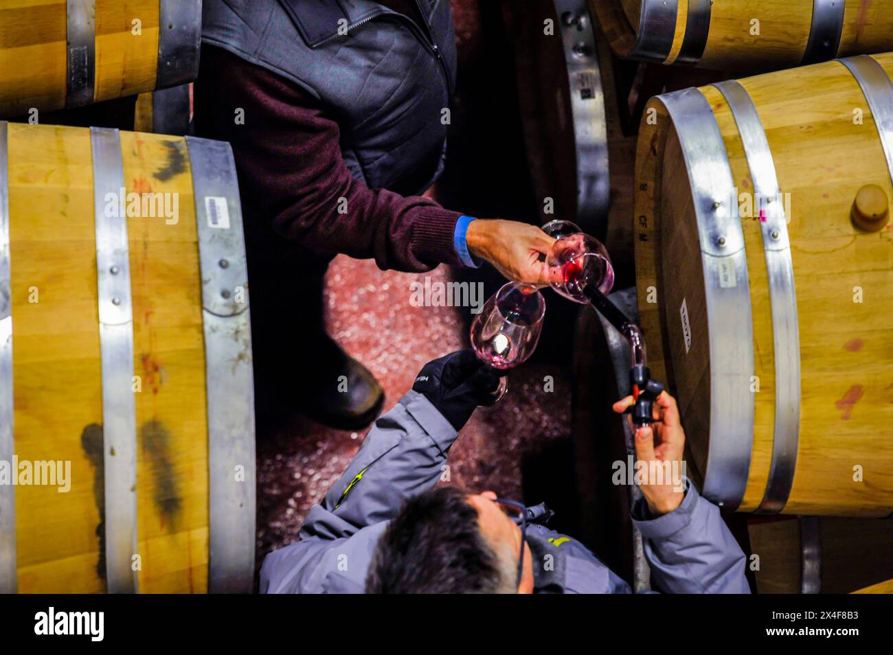 USA, Washington State, Woodinville. Two men sample wine from various