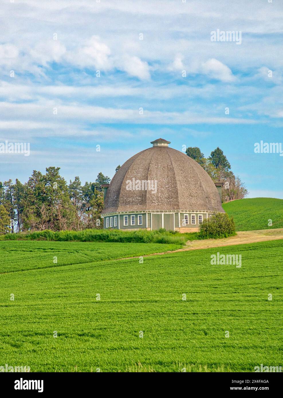 USA, Washington State, Palouse Region. Old round barn and fresh spring wheat field (Editorial Use Only) Stock Photo