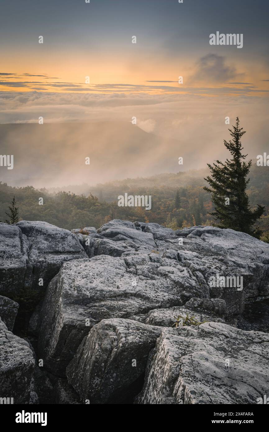 Sunrise dolly sods wilderness hi-res stock photography and images - Alamy