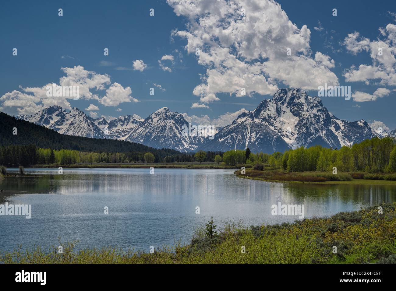 USA, Wyoming. Mount Moran and Teton Mountains across Snake River, Grand ...