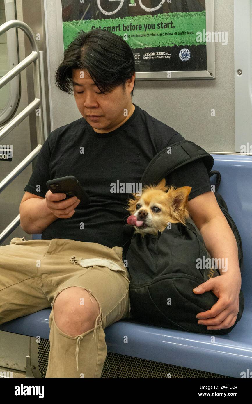 man with dog in bag, New York city subway car, NY, USA Stock Photo