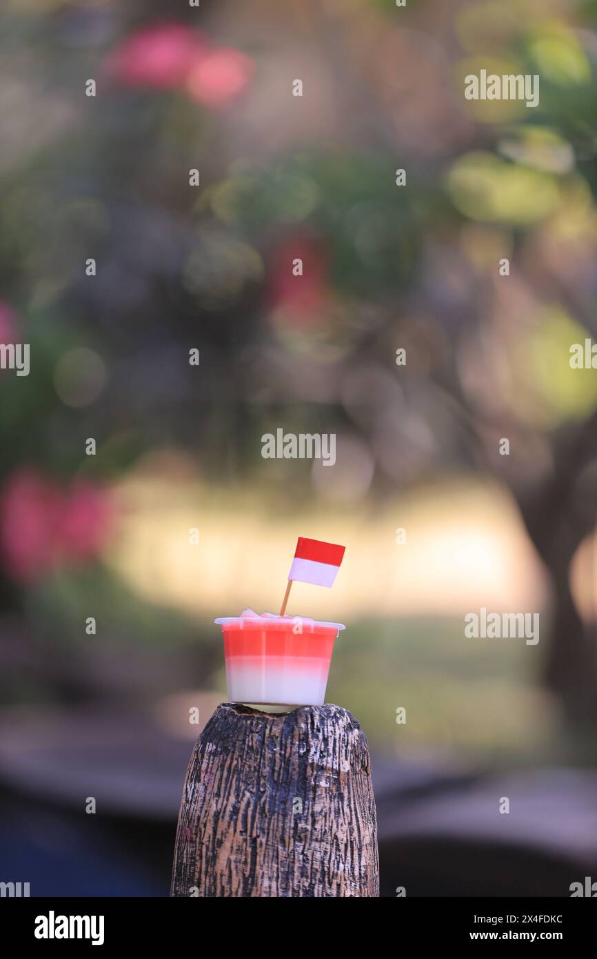 Pudding Flags red and white pudding with a small Indonesian flag. Blurry background ...