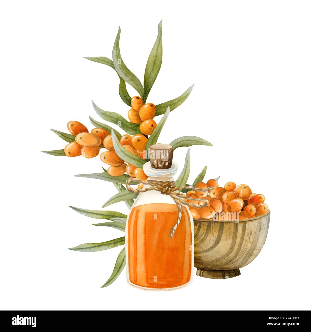 Watercolor sea buckthorn oil in glass bottle with seaberry branches and wooden bowl full of orange berries illustration Stock Photo