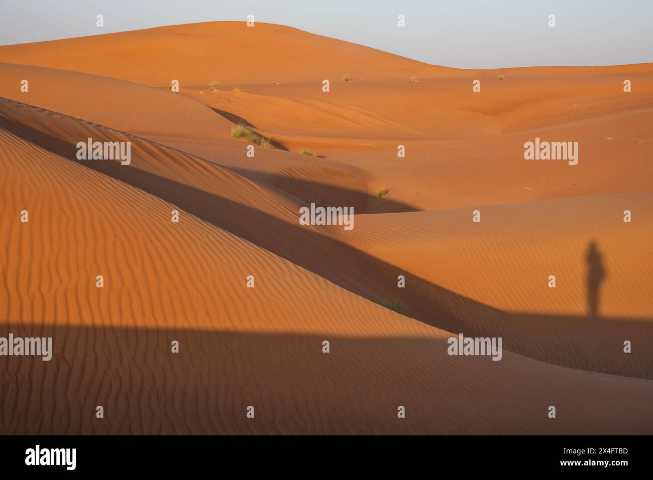 Sculpted sand dunes, Wahiba Sands, Ash Sharqiyah, Oman Stock Photo - Alamy