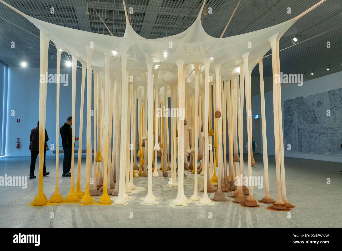 Ernesto Neto’s, Just like drops in time, nothing art installation in Art Gallery of New South Wales extension Naala Badu building,Sydney,Australia Stock Photo