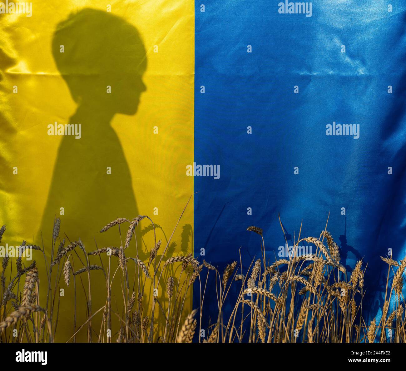 silhouette of an unrecognizable boy standing behind the national Ukrainian blue and yellow flag on a wheat field. children ask for peace. shadows. sel Stock Photo
