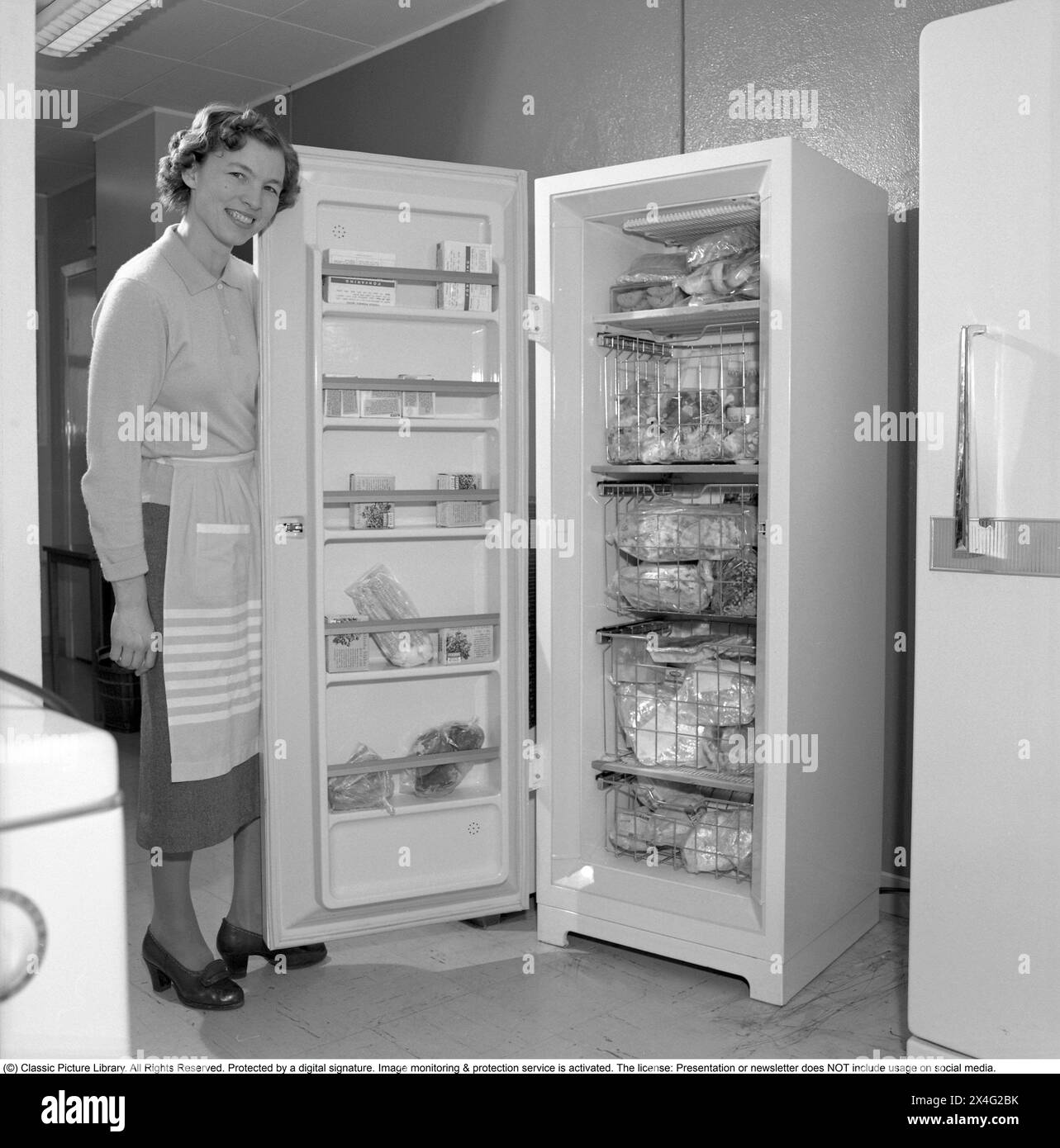 A woman at a freezer with frozen goods, chicken, fish in packages.  A standing model freezer with shelves and drawers and a door to open it. Sweden 1960. Conard 4188 Stock Photo
