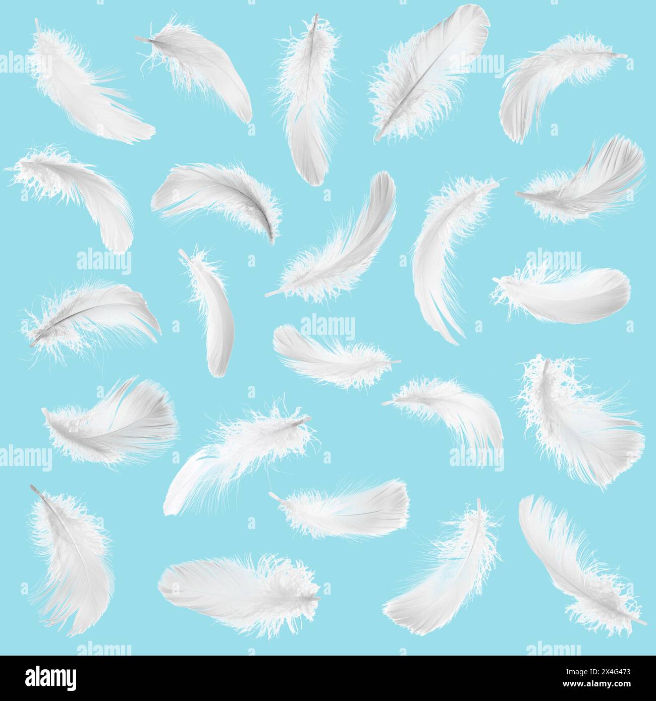 Fluffy bird feathers falling on light blue background Stock Photo - Alamy