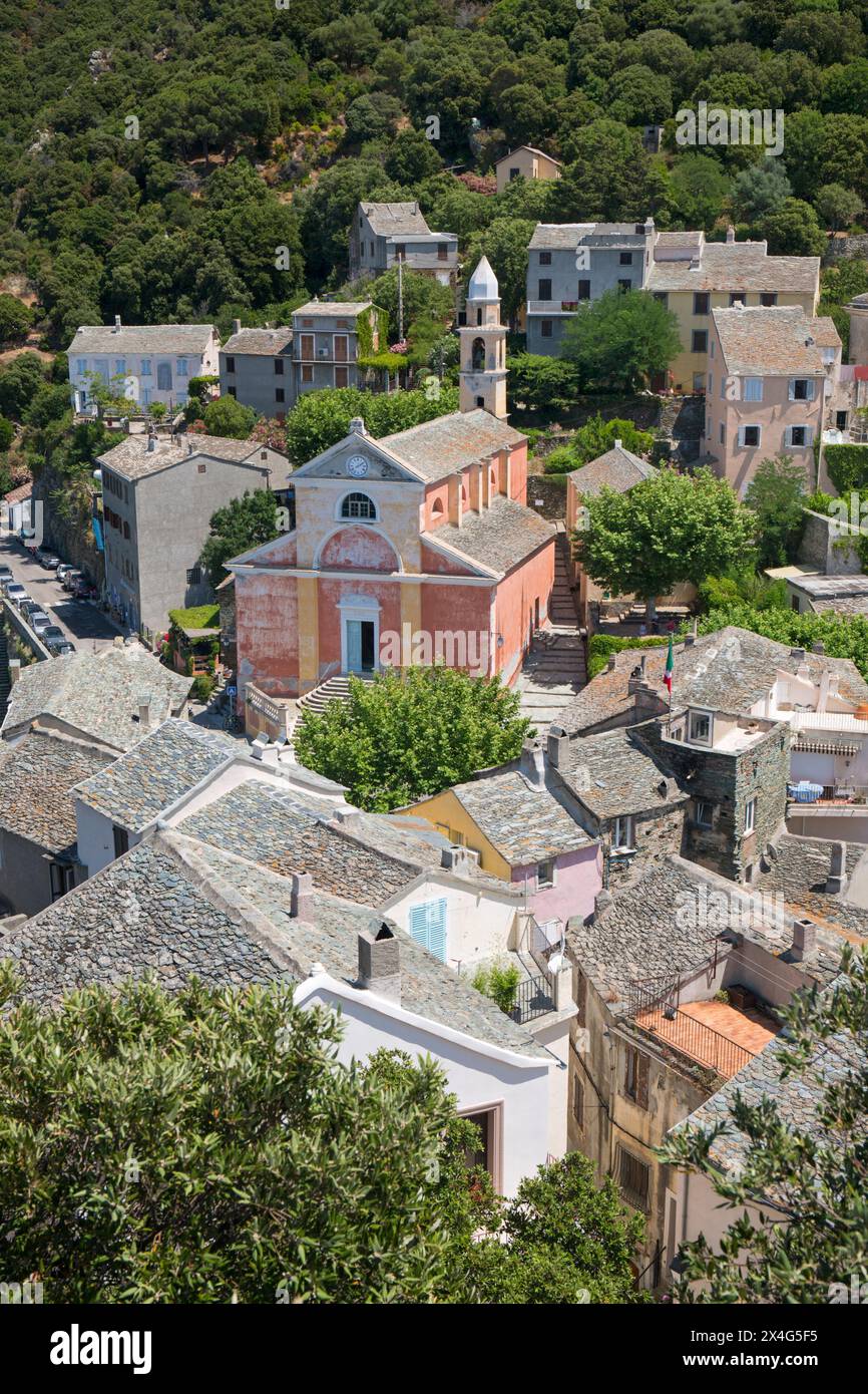 Nonza, Haute-Corse, Corsica, France. View over treetops from hilltop watchtower, the 17th century Église Sainte-Julie prominent. Stock Photo