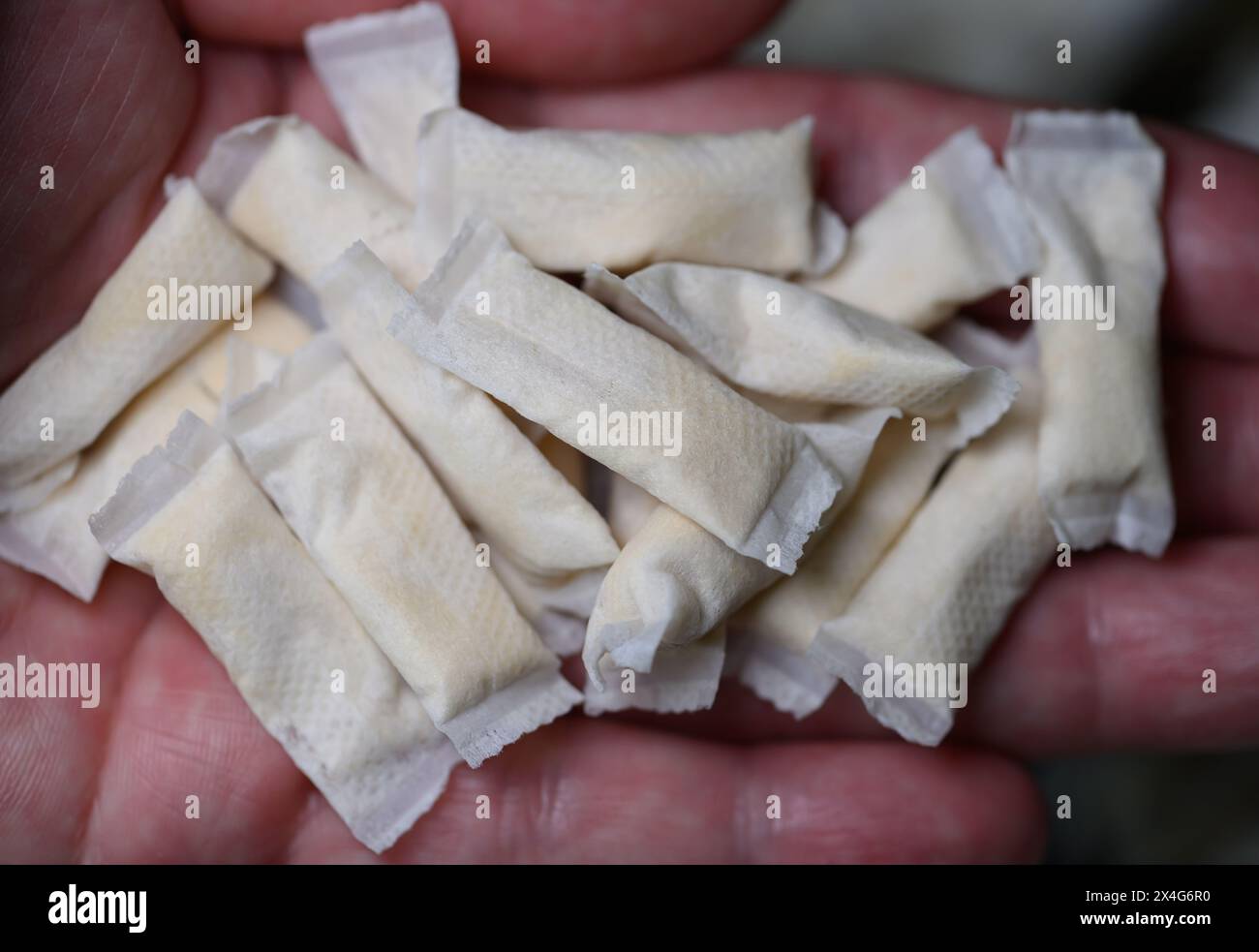 tobacco pouches germany Dresden, Germany. 03rd May, 2024. Tobacco-free nicotine pouches are in one  hand. Credit: Robert Michael/dpa/Alamy Live News Stock Photo