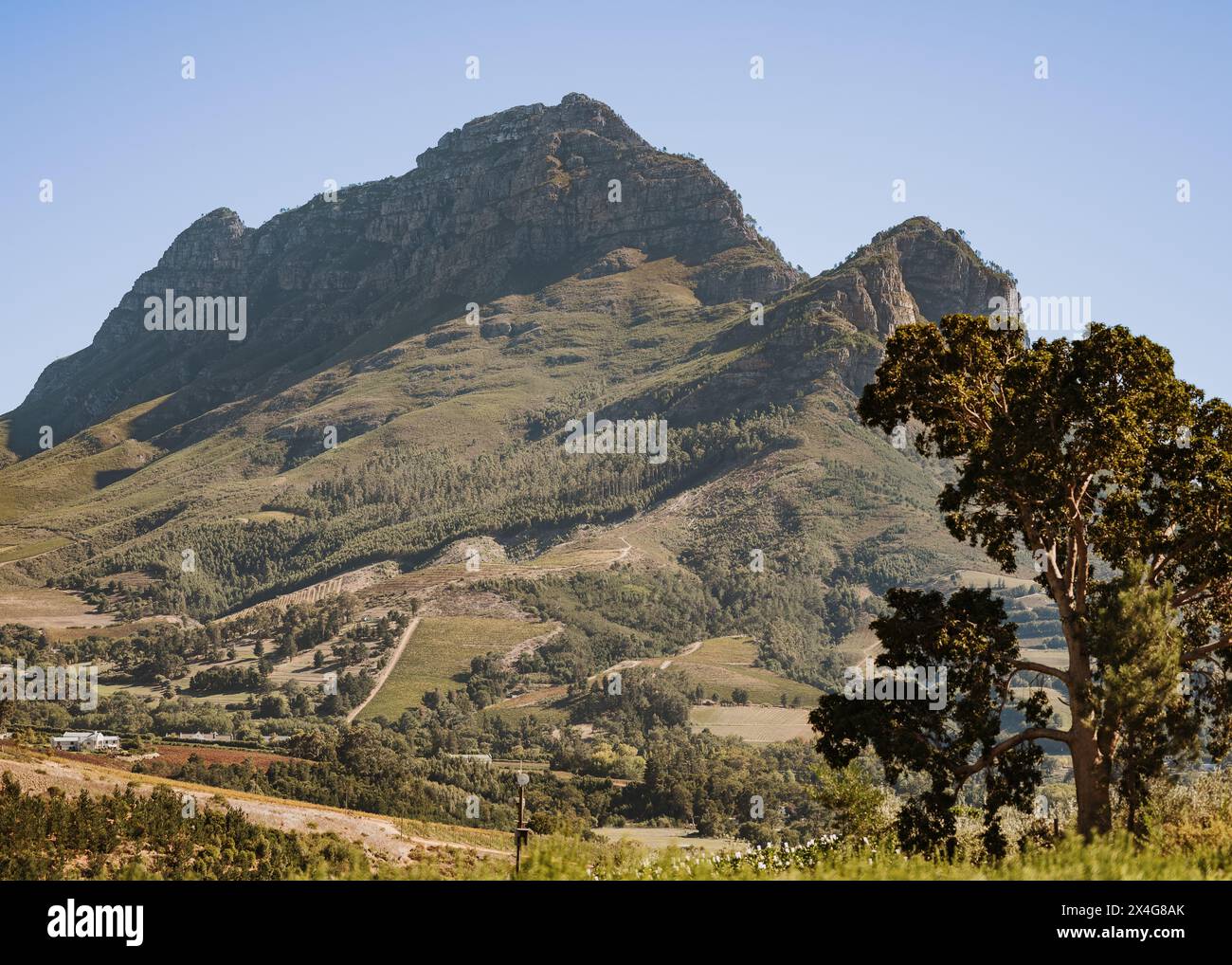 Stellenbosch Area of South Africa Stock Photo