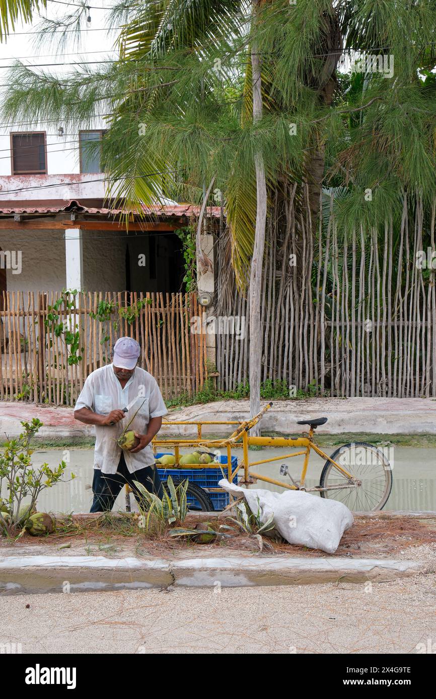 An mature  man chops coconuts on  a street next to his bicycle Stock Photo