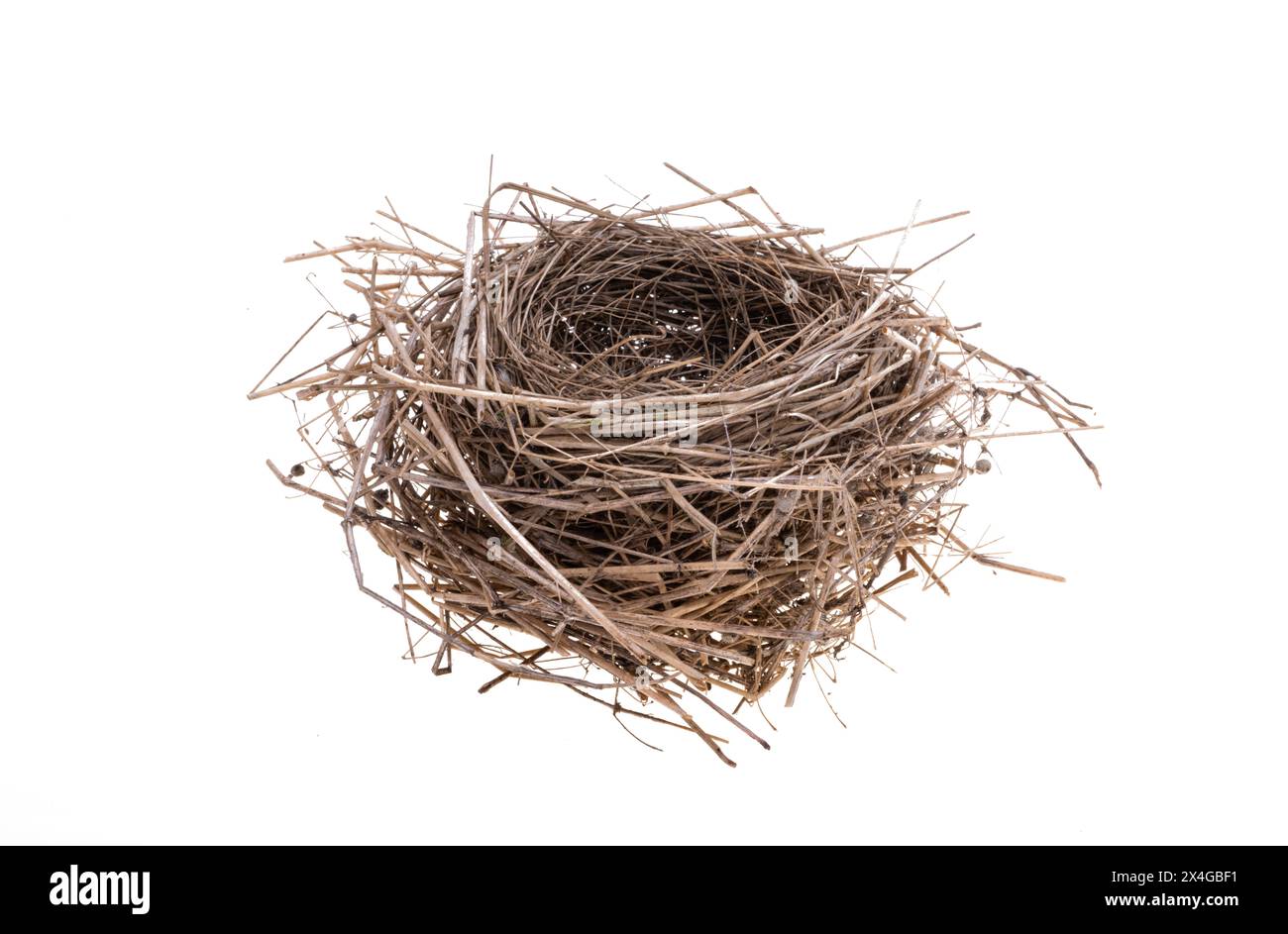 bird nest isolated on white background Stock Photo - Alamy