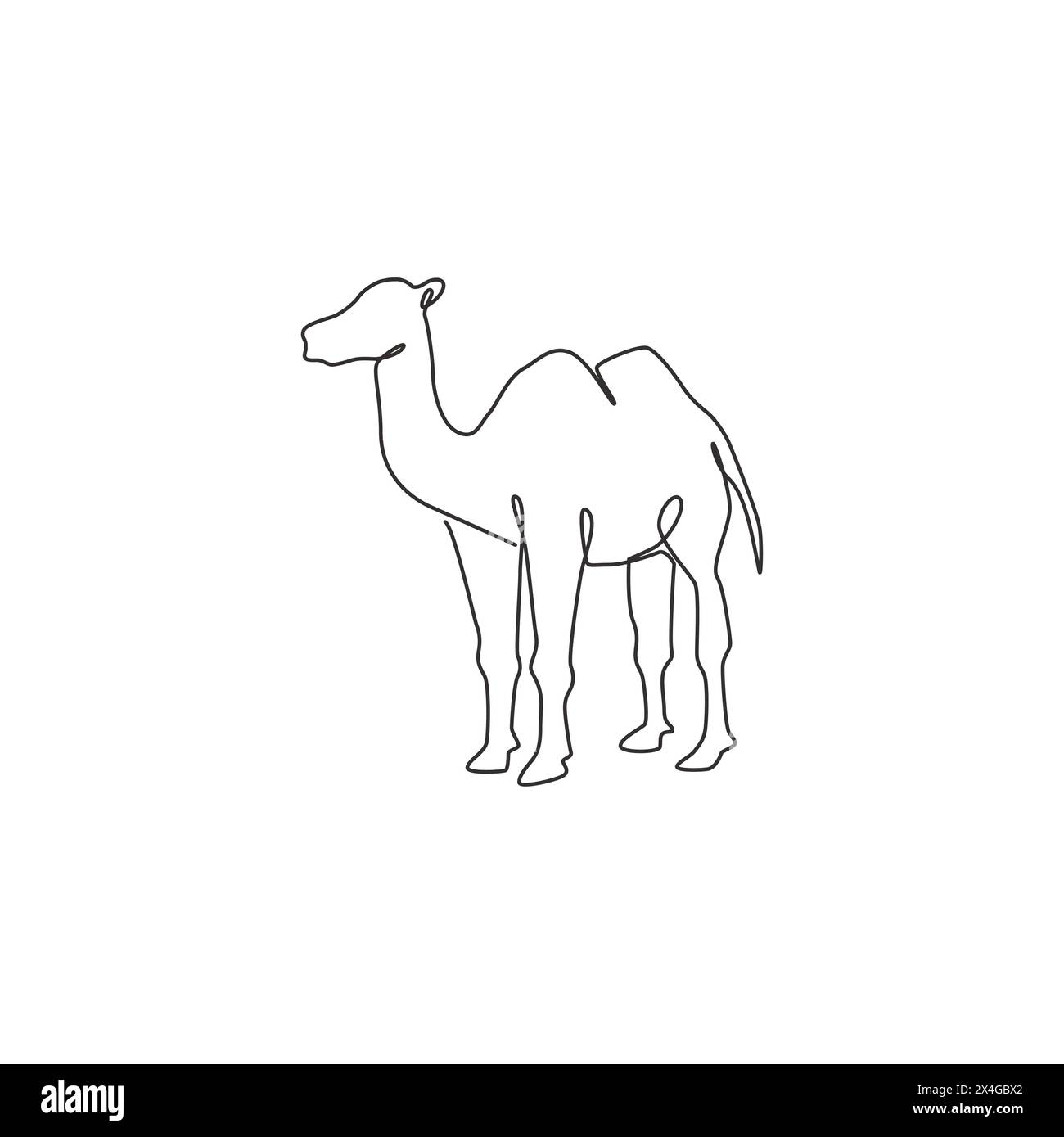 One continuous line drawing of Arabian desert camel for livestock ...