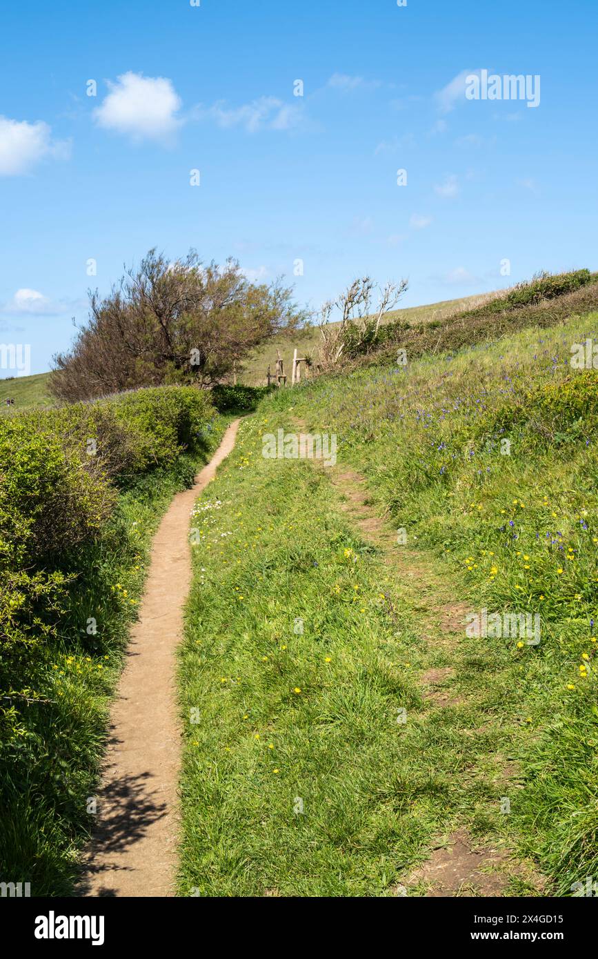 Continous Rough Path A rough trail on the South West Coast Path on the coast of Newquay in ...