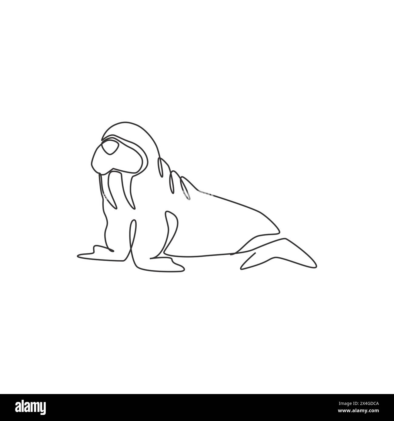 Single continuous line drawing of big cute walrus for logo identity