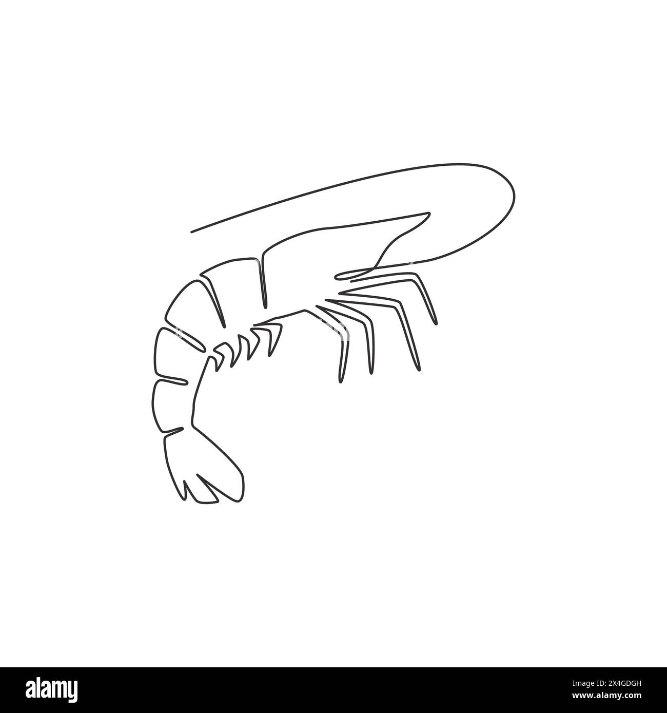 Single continuous line drawing of big shrimp for healthy seafood logo ...