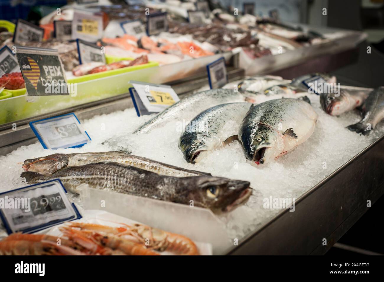 Fische in der Markthalle Stock Photo