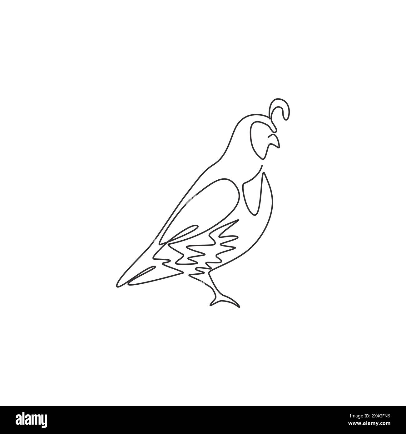 One continuous line drawing of cute California quail for farm logo identity. Highly sociable bird mascot concept for national park icon. Modern single Stock Vector