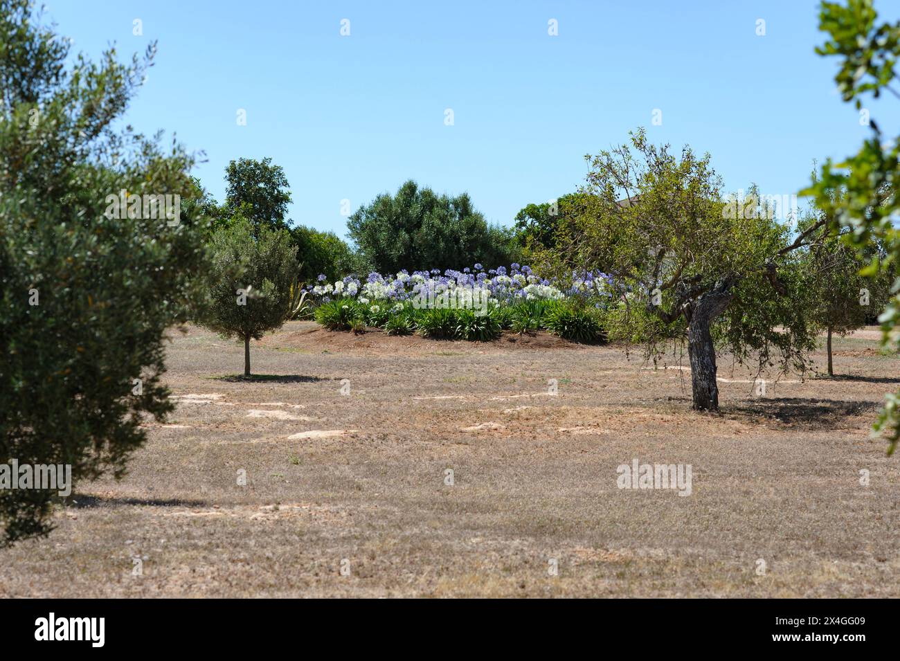 Hinter den garten hires stock photography and images Alamy