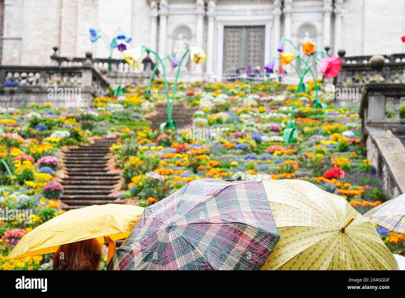 Spanish flower festival with rain and umbrellas. Temps de flors Stock Photo